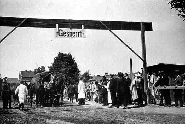 Pferdemarkt in Wehlau An der Auffahrt zum Pferdemarkt erfolgt eine kurze Untersuchung der Pferde durch die Veterinäre