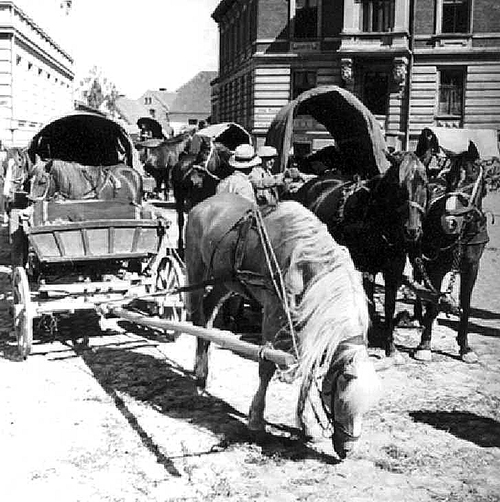 The search for a storefront on Wehlaus Street