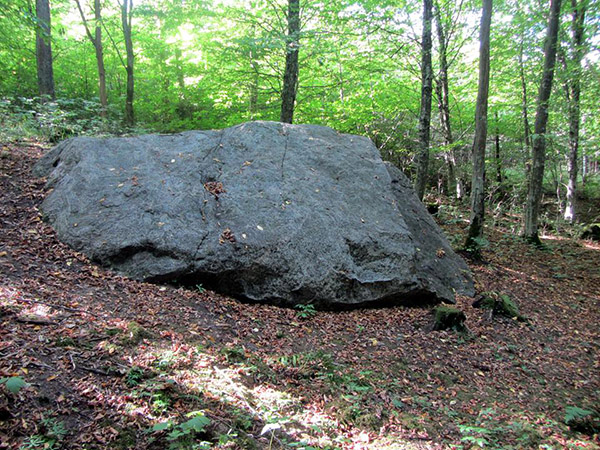 natural monuments of the Romintskaya forest