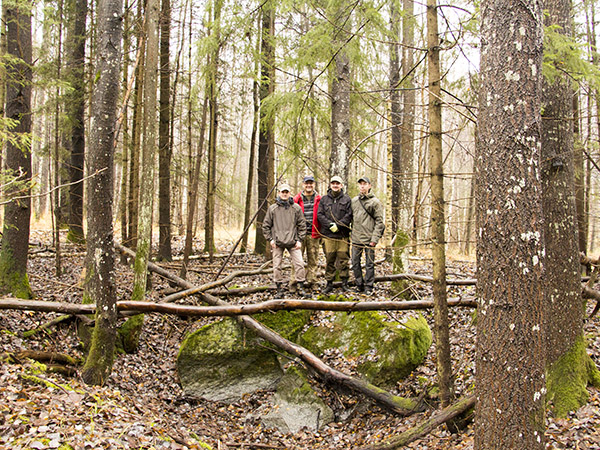 natural monuments of the Romintskaya forest