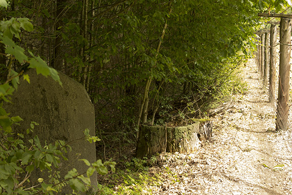 Hans von Arnim Denkstein Rominten heide 2015