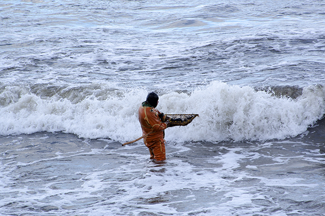 Amber Fishers Svetlogorsk