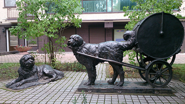 Paukenhund 43 Inf-Regiment Denkmal Kaliningrader Trommelhunde