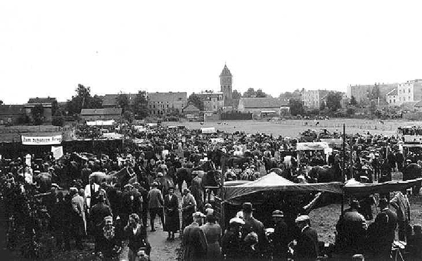 Pferdemarkt in Wehlau Pferdemarkt in Wehlau 1938