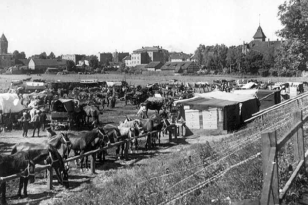 Horse market in Wehlau Pferdemarkt in Wehlau