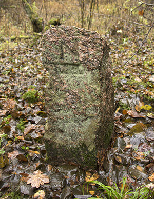 Rominter Heide stein forest management of the Rominter forest