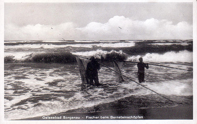 Sorgenau Bernsteifischer amber fishers