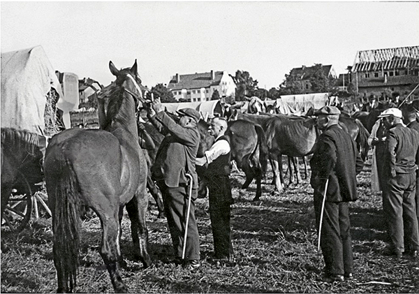 Horse market in Wehlau. Wehlau Pferdemarkt 1930-194x