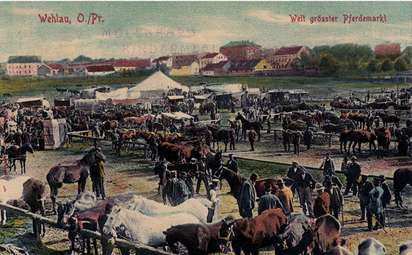 Pferdemarkt in Wehlau Wehlau Welt Großer Pferdemarkt 1909