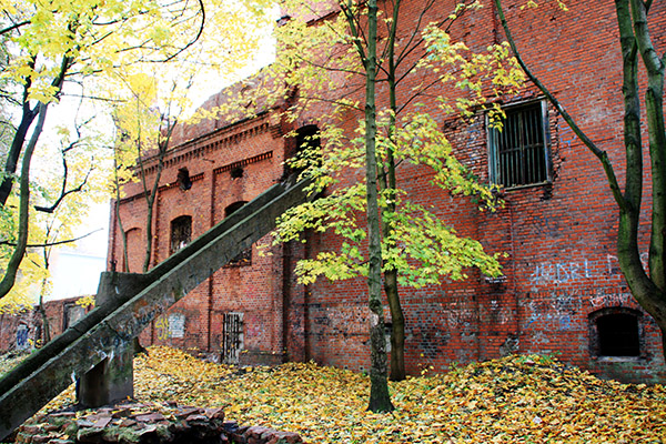 chernyakhovsk insterburg beer