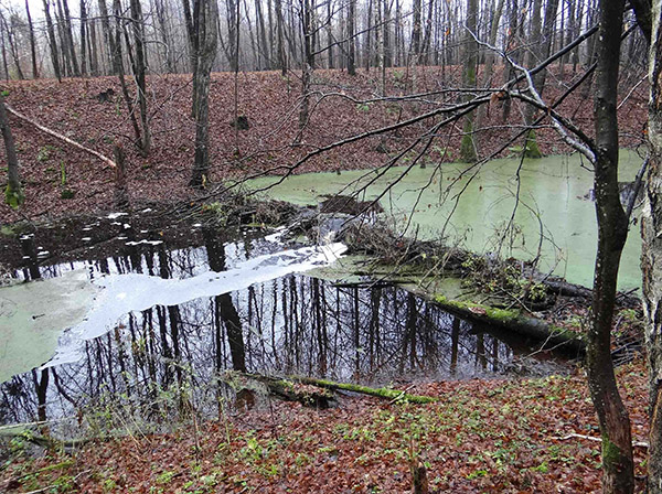 history of the mazurian canal