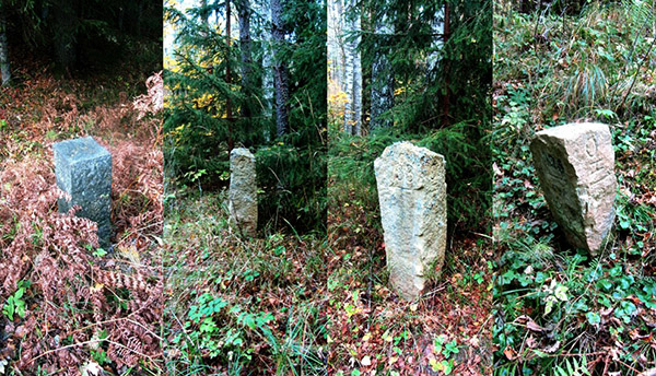 rominten_stein_133 forest management of the Romintskaya Pushcha