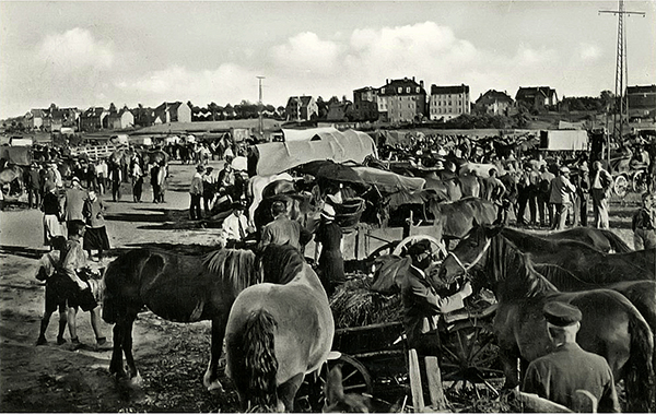 Pferdemarkt in Wehlau 1930er Jahre