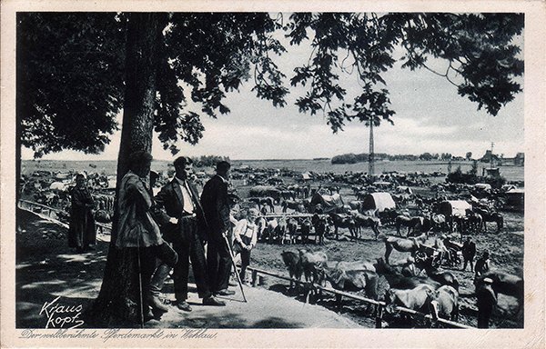 Horse market in Wehlau 1934