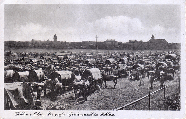 Pferdemarkt in Wehlau 1942