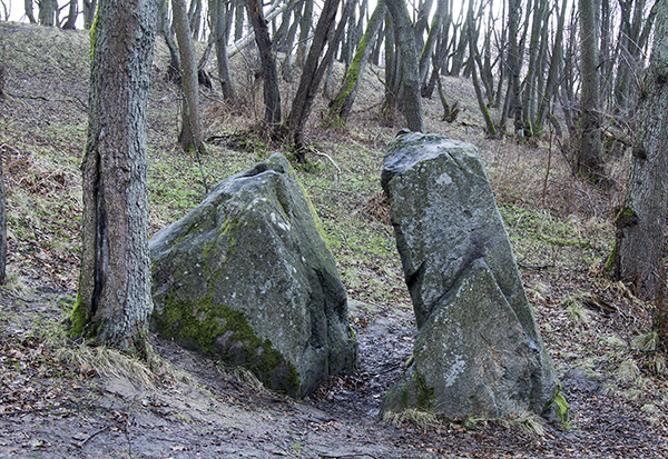 Pionersk Stone of Lies Neukuhren Der Borstenstein