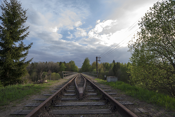 Railways of Romintskaya Pushcha Tokarevka-2010